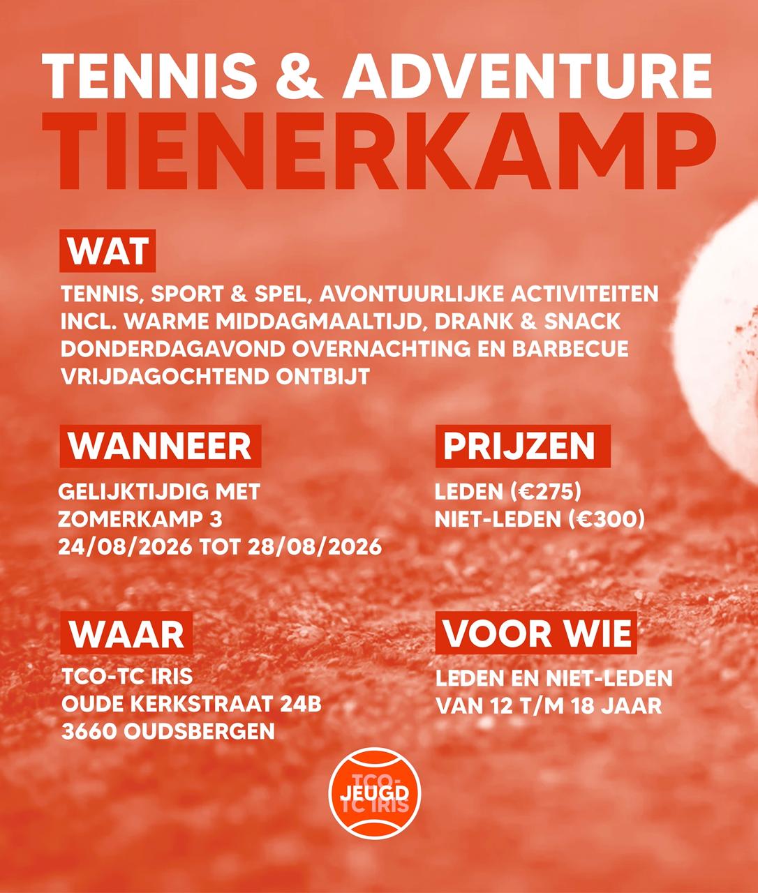 Affiche Tienerkamp